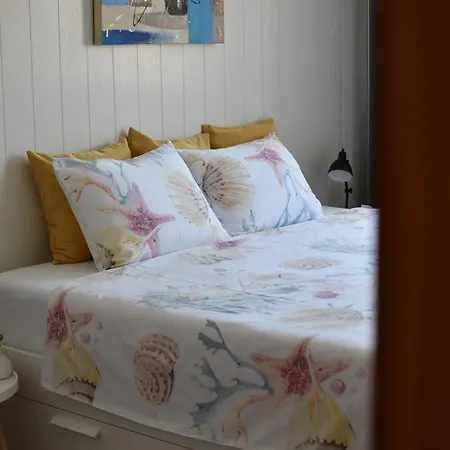Penthouse Ivana * Rovinj