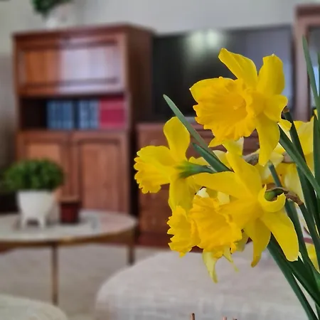 Appartamento Penthouse Ivana
